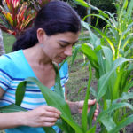 A woman looking at a green leafy plant