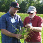 Two men talking over a patch of soil and grass
