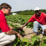 Two farmers kneeling down in the dirt beside a crop row smiling for the camera in red shirts